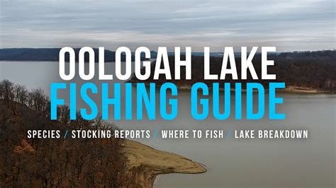 Tulsa Area Fishing Guide Oologah Lake Breakdown Youtube