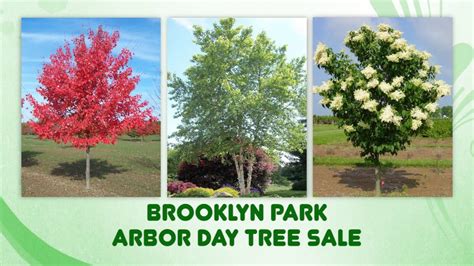 Brooklyn Park Arbor Day Tree Sale Youtube