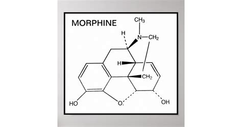 Morphine Chemical Structure Poster Zazzle