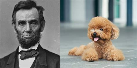 What Happened To Abraham Lincolns Dog