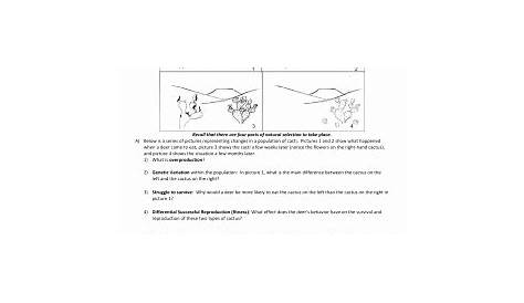 50 Darwin's Natural Selection Worksheet Answers | Chessmuseum Template