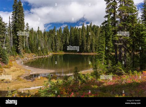 Ford Pinchot National Forest Washington Usa Cultus Lake In
