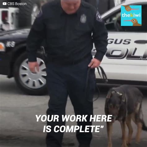 Police Dog Says Goodbye To His Work Partner Police Dog Says Goodbye