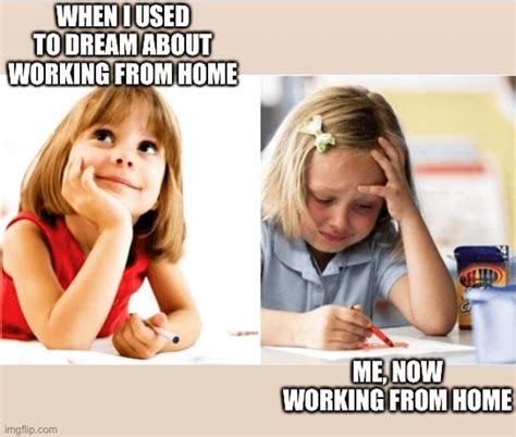 The Best Work From Home Memes Laugh Because It S True