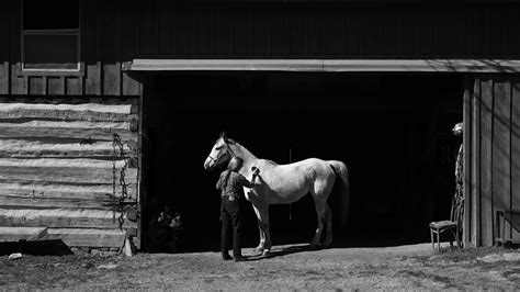 Sally Manns Exposure The New York Times