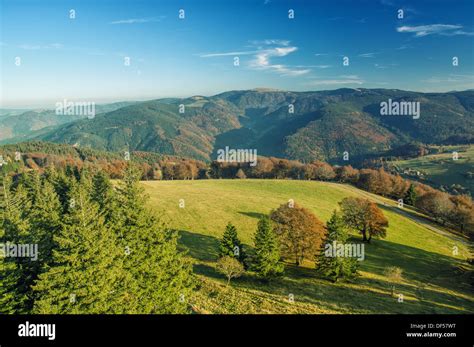 The Black Forest From A Look Out Tower Stock Photo Alamy