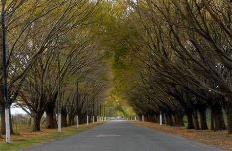 La Lucila Del Mar Provincia De Buenos Aires Tripin Argentina