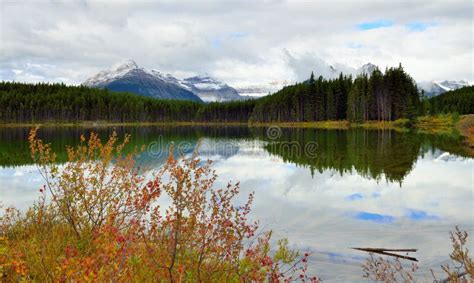 Beautiful High Mountains Of The Canadian Rockies Reflecting In An