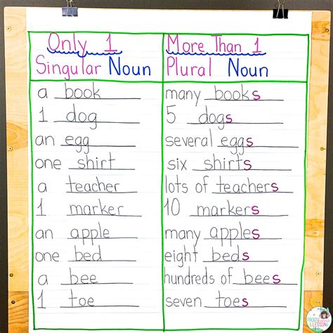 When making the plural form of a noun, usually we. Frogs, Fairies, and Lesson Plans: 5 Noun Lessons You Need ...