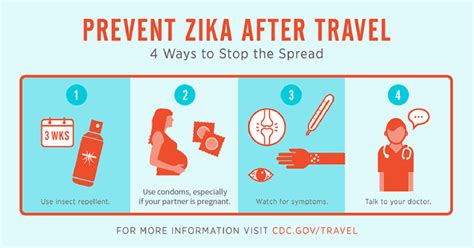 What Is The Zika Virus What You Need To Know