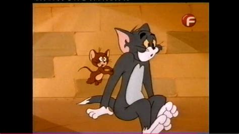 Incredible Shrinking Cat Tom And Jerry Wiki Fandom The