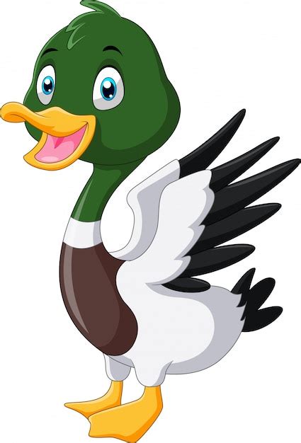 Premium Vector Cute Cartoon Mallard Duck Smile