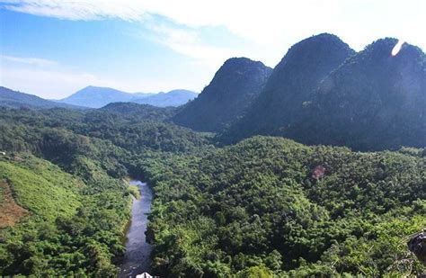 16 Foto Pemandangan Hutan Kalimantan Foto Pemandangan Hd