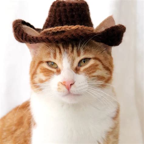 Cowboy Hat For Cats Pawsomecrochet Crochet Cat Hat Crochet Cat