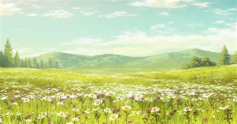 Anime Landscape Cute Anime Flower Field Background