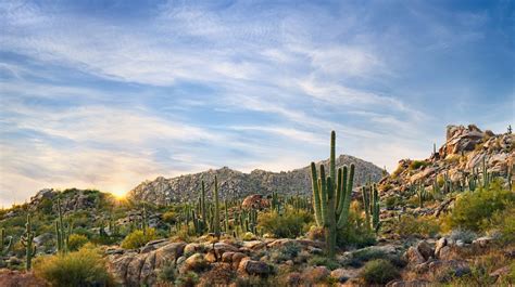 5 Amazing Reasons To Escape To Scottsdale This Winter