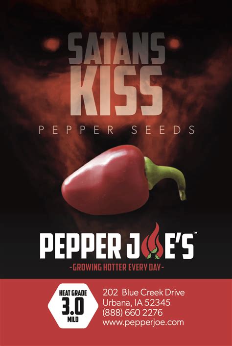 Satans Kiss Pepper Seeds Pepper Joes