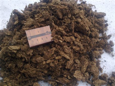 Mixed Peat Moss 70 Milled 30 Block 60 Cbm Big Bale 5 20 Mm