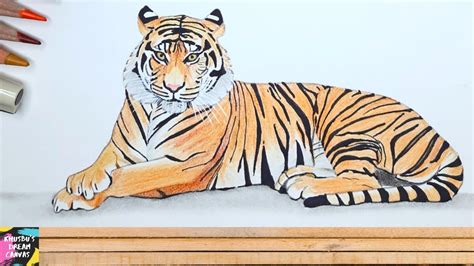 Discover More Than Indian Tiger Sketch Latest In Eteachers