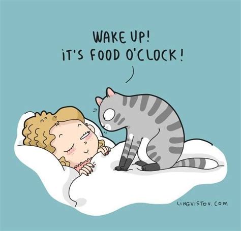 Wake Up With Images Cats Funny Cartoon Funny Illustration Cat Comics