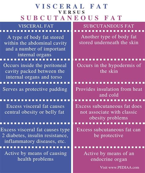 What Is The Difference Between Visceral And Subcutaneous Fat Pediaacom