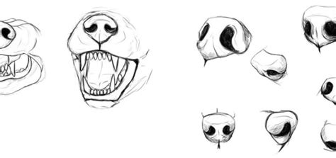 The images above represents how your finished drawing is going to look and the steps involved. Nose Drawing References and Sketches for Artists