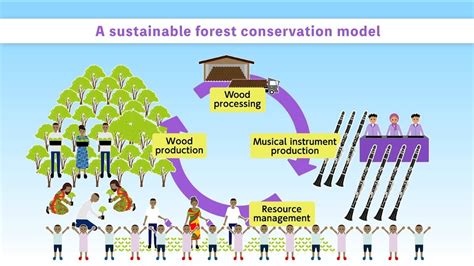 Sustainable Forest Conservation Project In Tanzania Youtube