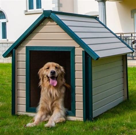 Large Dog House Plans Gable Roof Style Doghouse 90304g Pet Size Up To