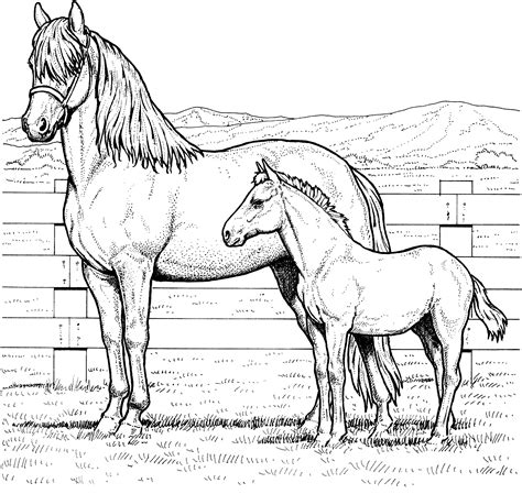 Free Horse Coloring Pages