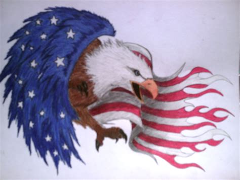 Eagle And Flag Drawing At Getdrawings Free Download