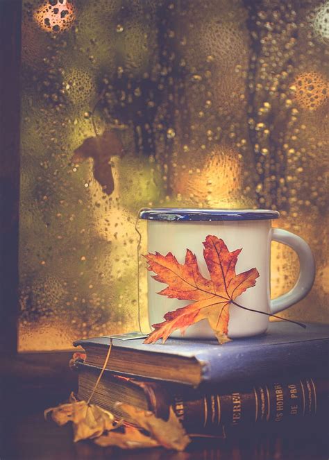 1920x1080px 1080p Free Download Books Tea And Rain Drops Fall