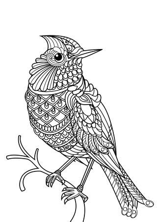 The coloring books all have multiple sheets that are organized by various themes that include birds, zoo the books in this section are available for free download in pdf format. Animal coloring pages pdf by Marko Petkovic - Issuu