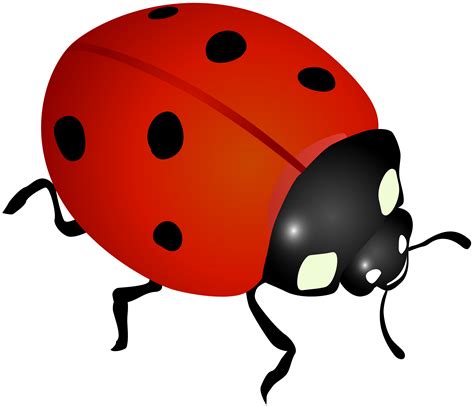 Free Lady Bug Clipart