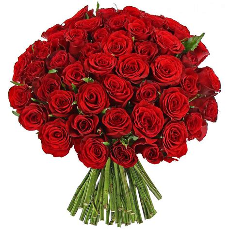 Bianco, blu, rosa, gialle, arancio… chiedi nel form se disponibili al momento del tuo ordine! Bouquet di 50 rose rosse: Esplosione d'Amore - Fiorista ...
