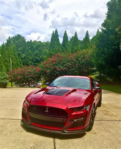 Rapid Red Metallic Gt500 Pictures Page 12 2015 S550 Mustang Forum