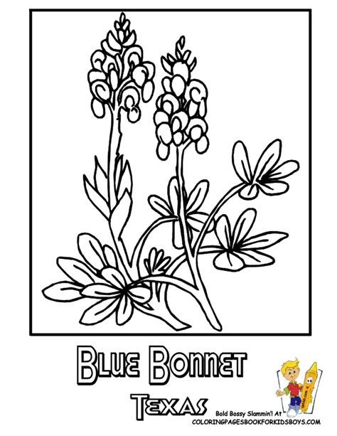 Texas Coloring Pages Coloring Home