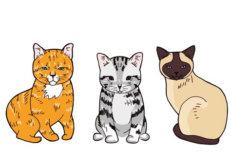 Koleksi Gambar Kucing Comel Manja Kartun And Hd Wallpaper Bukit Besi Blog