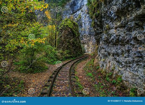 Railroad Tracks Cut Through Autumn Woods Stock Image Image Of