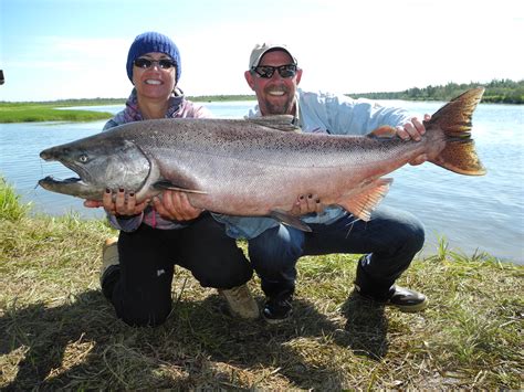 All Inclusive Guided Alaska King Salmon Fishing Alaska Elite Outfitters