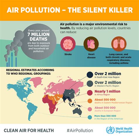 Who Air Pollution Infographics