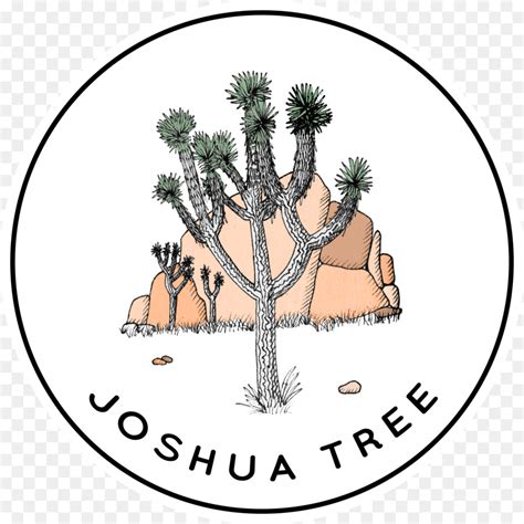 Joshua Tree Drawing At Getdrawings Free Download