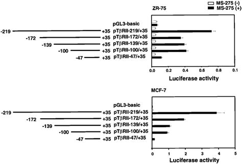 Activation Of TRII Promoter Deletion Constructs By MS 275 In MCF 7 And