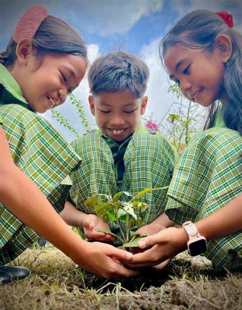 Around 47 678 Public Schools Join Simultaneous Tree Planting