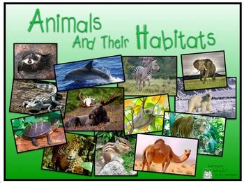 animals  habitats powerpoint  part  tpt