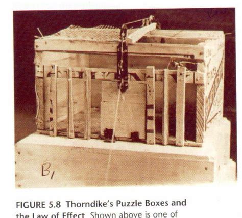 Thorndike Puzzle Box Stepindancefr