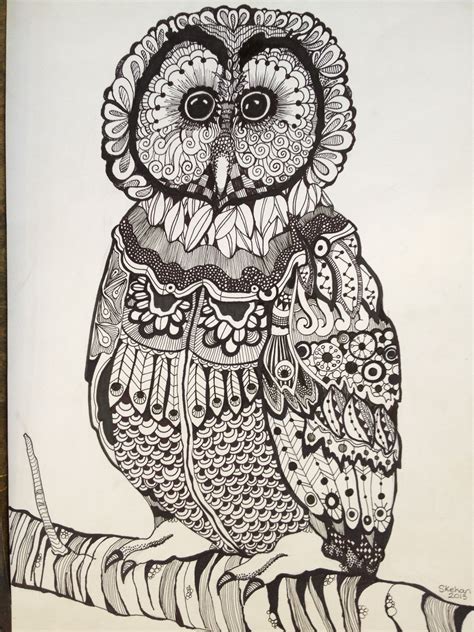 Image 8 Zentangle Art Owls Drawing Drawings