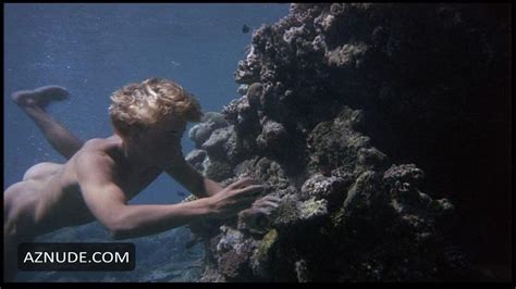 Christopher Atkins Brooke Shields La Blue Lagoon Foto Stock Alamy Hot Sex Picture