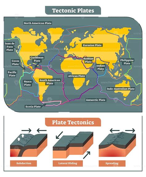 Tectonic Plates World Map Vectormine