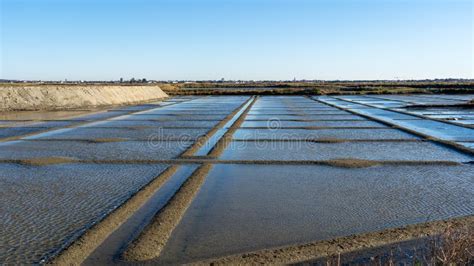 The Guérande Salt Marshes In The North Of France They Are Are Part Of