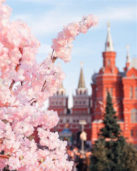 ruscatontheroof: Spring in Moscow Весна в Москве - Tumblr Pics
